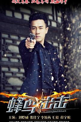蜂鸟2015 第17集