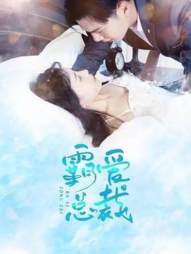 霸爱总裁 第12集