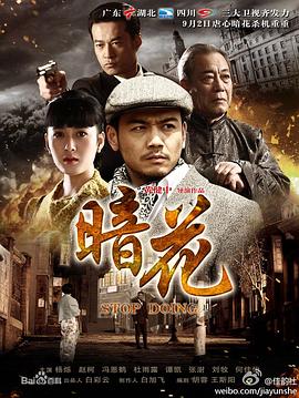 暗花2012 第13集