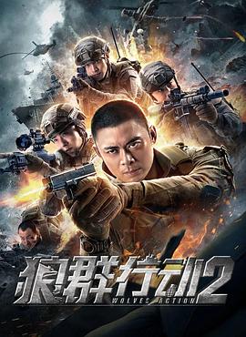狼群行动2(大结局)