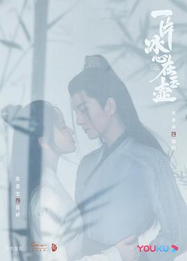 一片冰心在玉壶 第17集