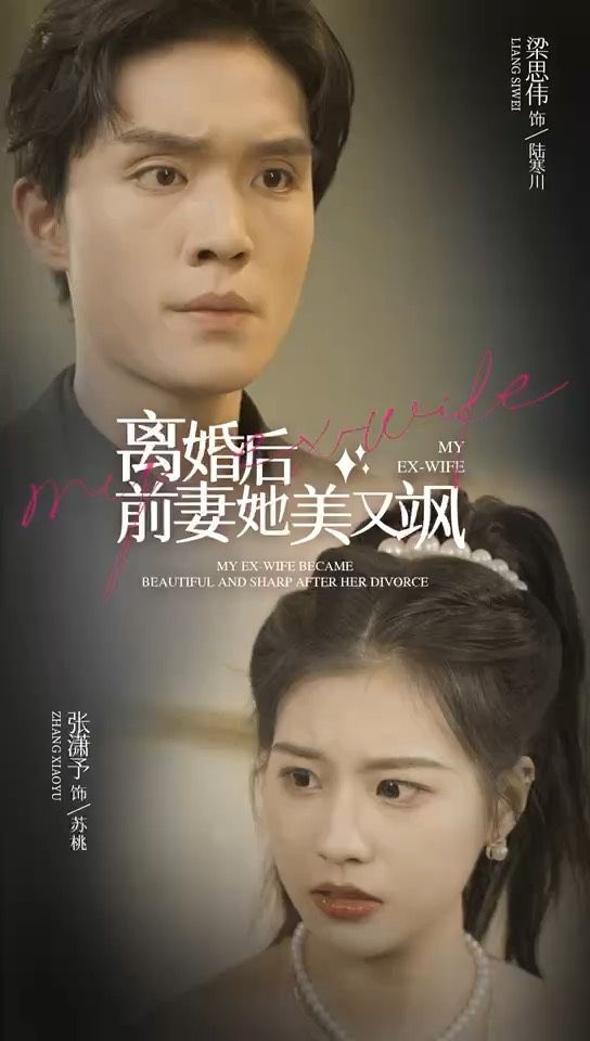 离婚后前妻她美又飒 第01集