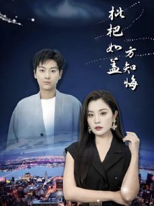 枇杷如盖方知悔 第22集
