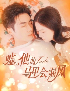 嘘，他的马甲会漏风(全集)
